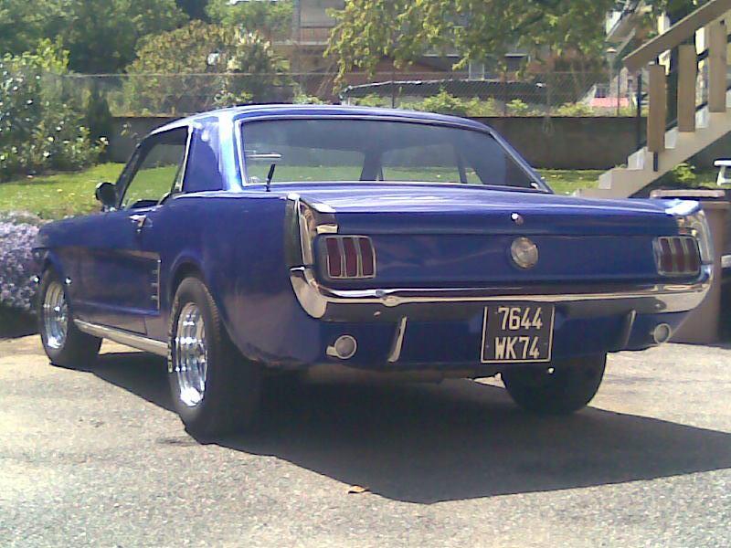 Stang 2.jpg